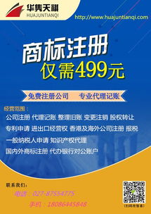 武汉武昌 江岸 东湖高新企业注册代办,知识产权代理